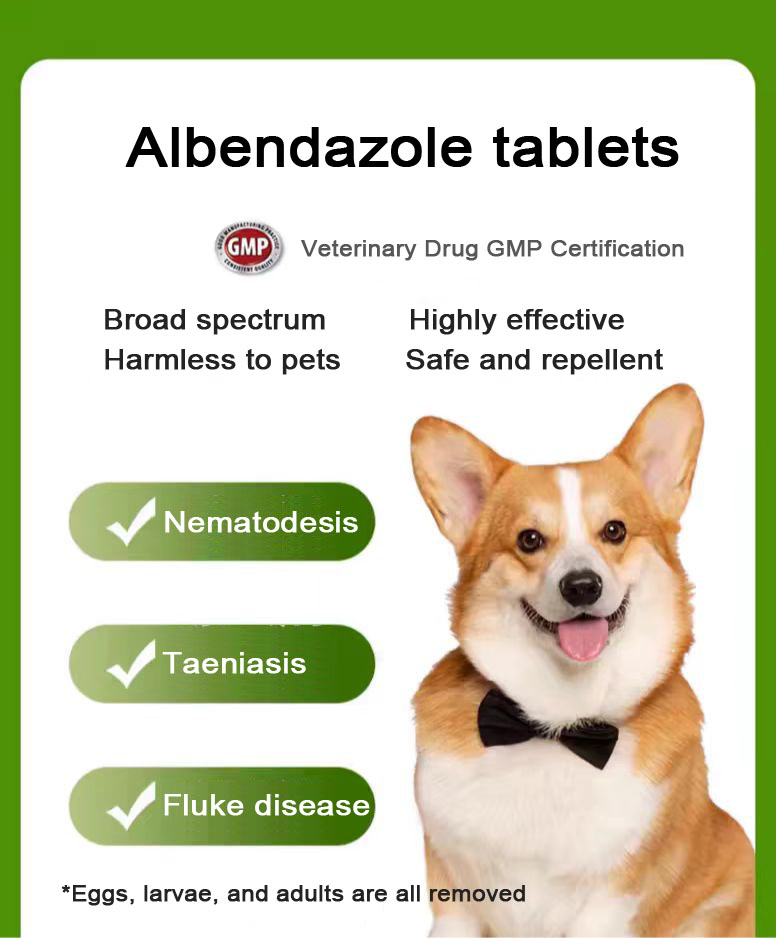 Comprimido de albendazol de 50 mg para animais de estimação.jpg